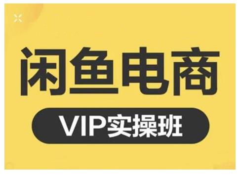 闲鱼电商零基础入门到进阶VIP实战课程，帮助你掌握闲鱼电商所需的各项技能