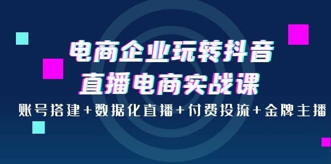 电商企业玩转抖音直播电商实战课：账号搭建+数据化直播+付费投流+金牌主播