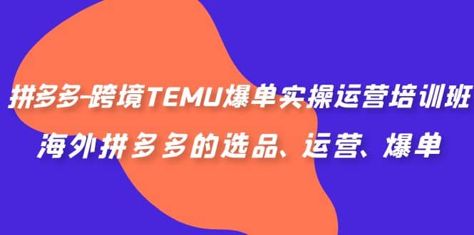 拼多多-跨境TEMU爆单实操运营培训班，海外拼多多的选品、运营、爆单